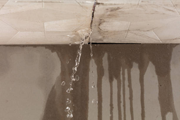 Professional Structural Drying technician working in Fresno, TX